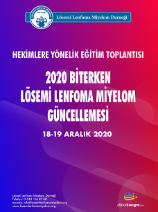 2020 Sonunda Lösemi Lenfoma Miyelom Güncellemesi